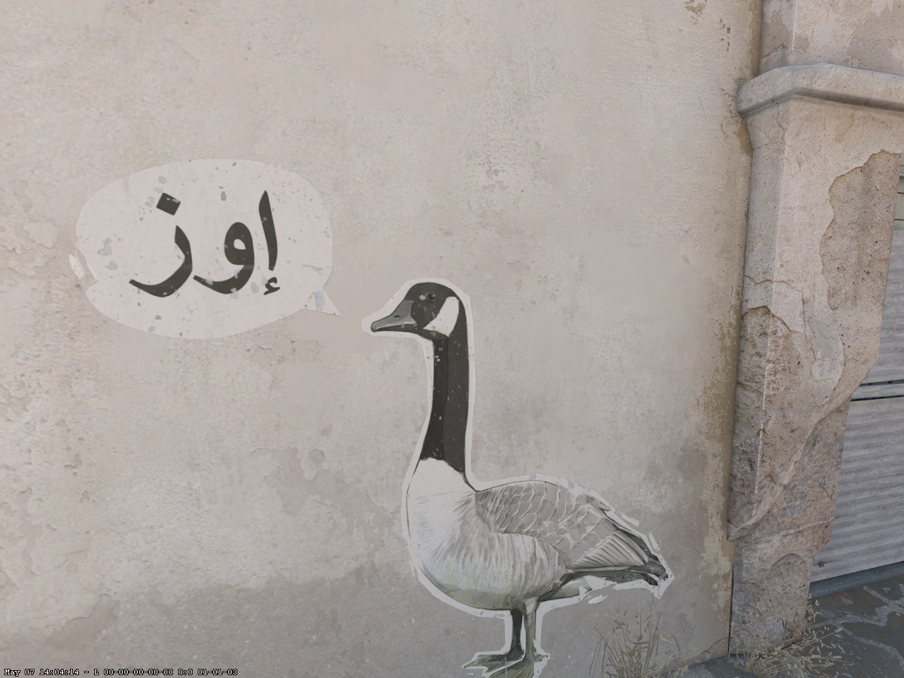 Goose